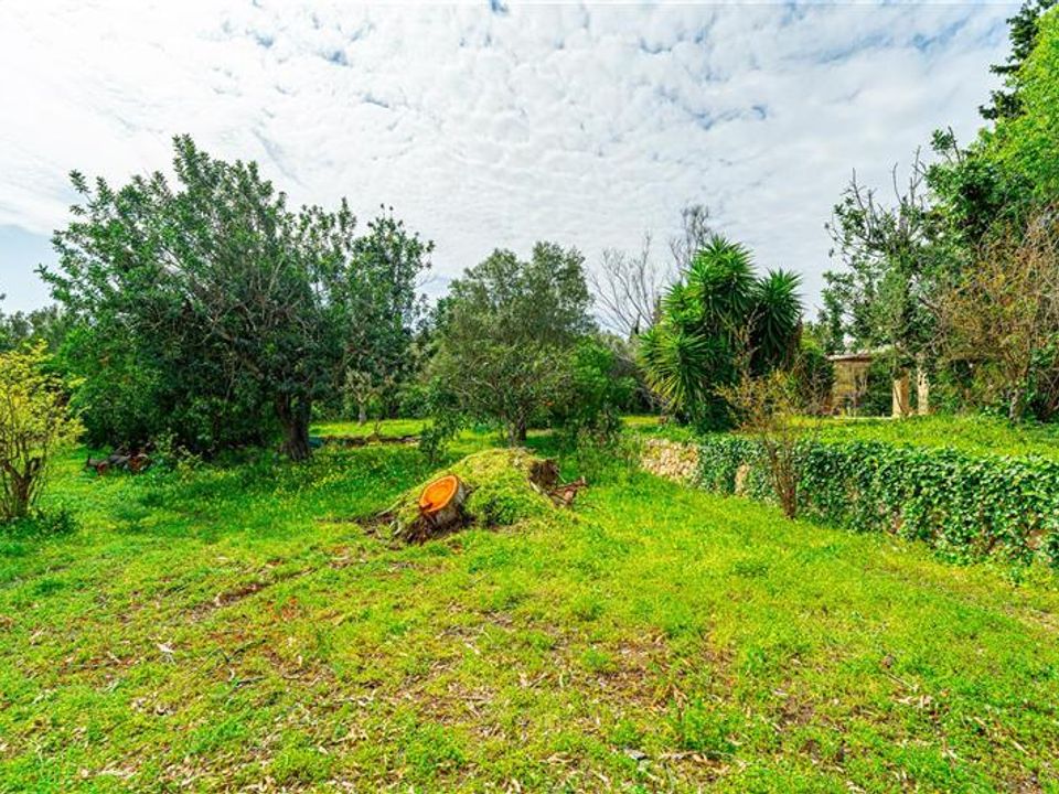 Finca i Calvia, Mallorca - foto 3